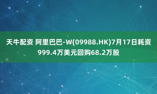 天牛配资 阿里巴巴-W(09988.HK)7月17日耗资999.4万美元回购68.2万股