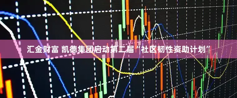 汇金财富 凯德集团启动第二届“社区韧性资助计划”